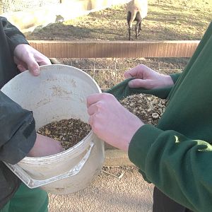 Itwould have been easier with two buckets! 14th March 2015