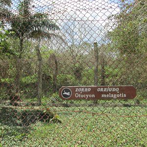 sign zoologico nacional