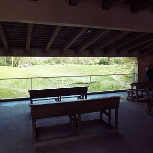 African Village - Savanna Viewing From Classroom