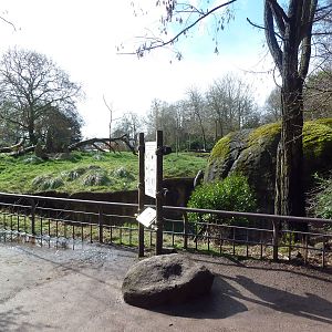 Patas Monkey Exhibit