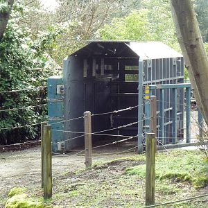 Asian Elephant Exhibit - Travel Crate