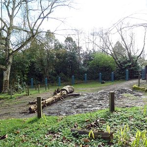 Asian Elephant Exhibit (1.5 acres)