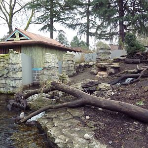 Asian Small-Clawed Otter Exhibit