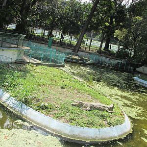 cuban crocodile exhibit havana zoo