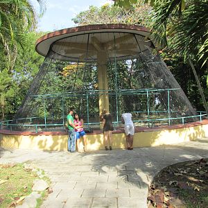 Crab eating macaque exhibit Havana Zoo