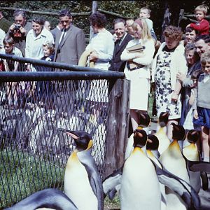 Penguin Parade, July 1965