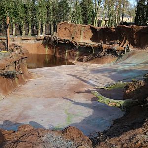 new giant otter exhibit
