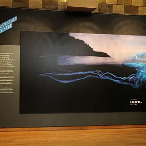 Wildlife Photographer of the Year