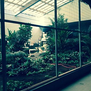 Feathers and Scales rainforest exhibit.