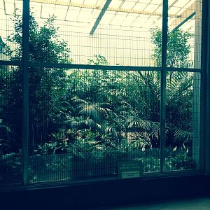 Feathers and scales .