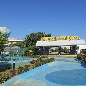 acuario nacional de cuba