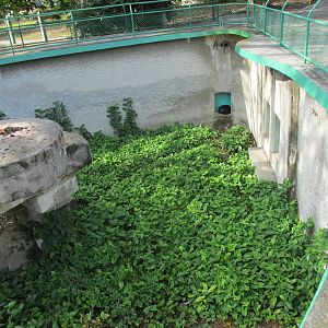 binturong exhibit havana zoo