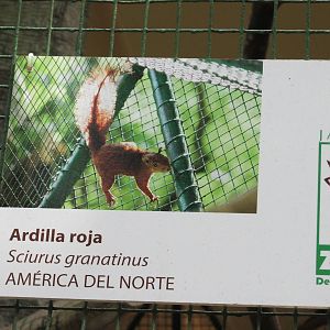 sign havana zoo