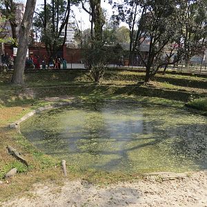 Gharial Pond
