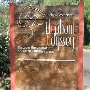 Elephant Oddysey entrance