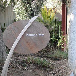 Horton's Way