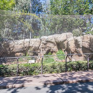 Temporary Tiger exhibit