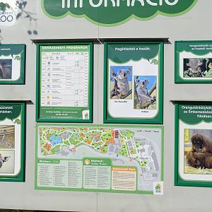 Information / News sign