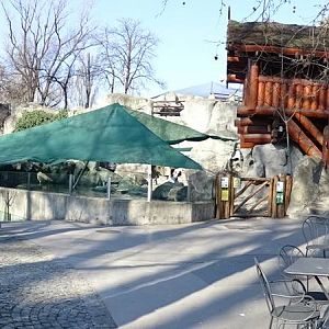 Penguin / seal enclosure