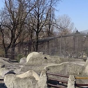 Little Rock / Big Aviary