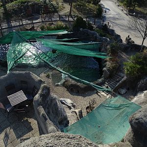 Penguin / seal enclosure