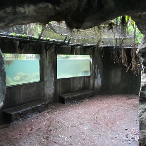 Burgers' Bush - Caiman underwater-viewing area