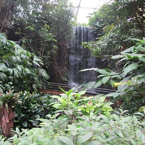 Burgers' Bush - Waterfall