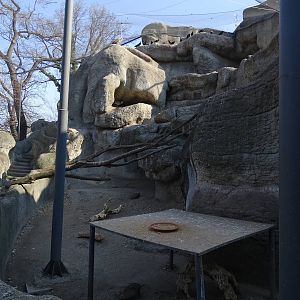 Big aviary, porcupine enclosure