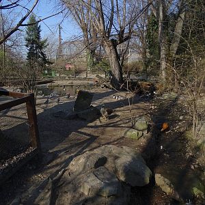 Waterfowl enclosure