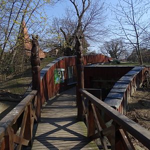 Path to kangaroo and cassowary indoor enclosures