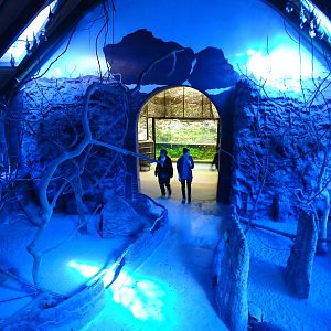 Nightlife walkthrough