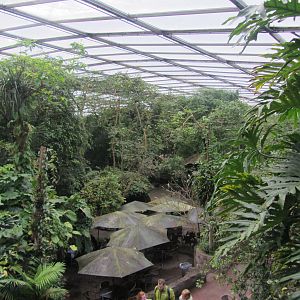 Burgers' Bush - General view