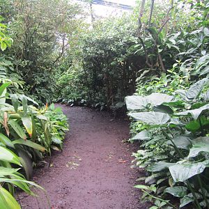 Burgers' Bush - General view