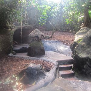 Burgers' Bush - Aardvark enclosure