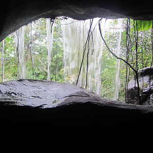 Burgers' Bush - Waterfall cave