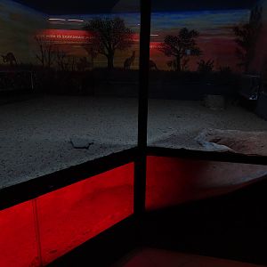 Echidna indoor enclosure