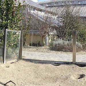 Prairiedog enclosure
