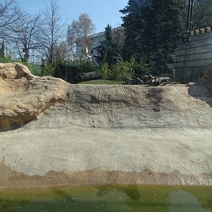 Part of the giant otter outdoors enclosure