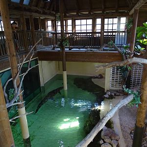 Crocodile house
