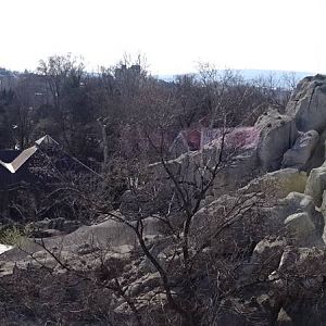 View from Great Rock