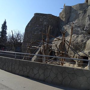 Barbary sheep and Hymadryas baboon enclosure