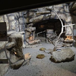 Magic Mountain - Gundis