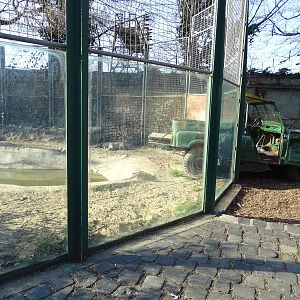 Part of the Siberian tiger enclosure