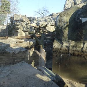 Part of the Syrian Brown bear enclosure