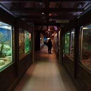 Venomous creatures house