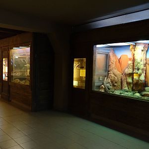 Venomous creatures house