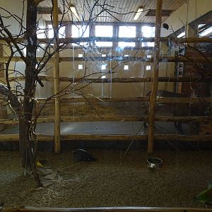 Waterbuck stables and birds