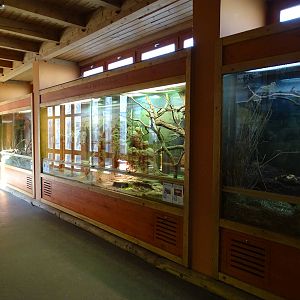 Reptile and rodent enclosures