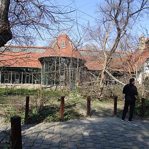 Ringtailed lemur walkthrough enclosure