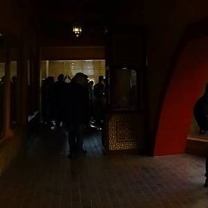 India house - Asiatic Lion indoor